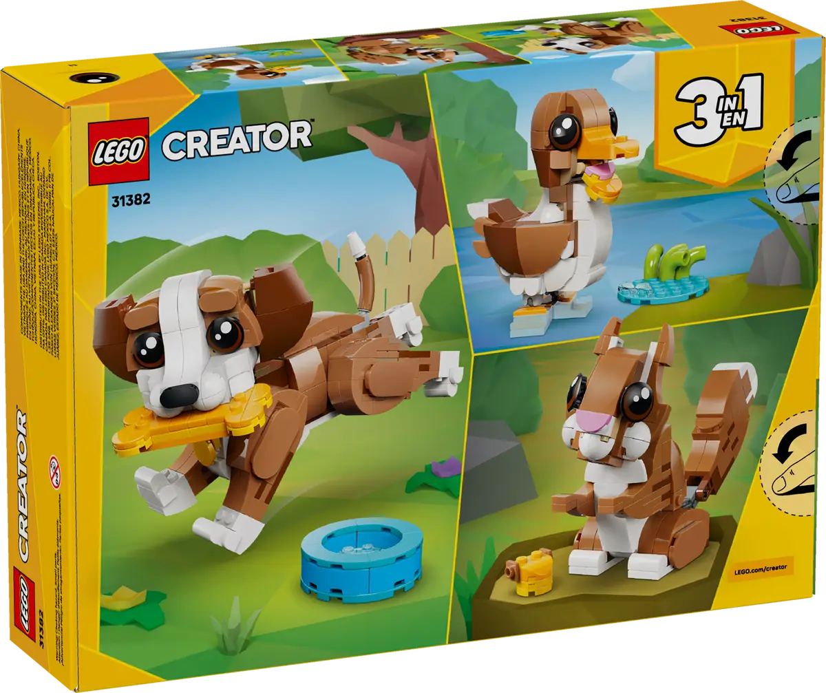 Animaux mignons Chiot ludique Chien (31382)